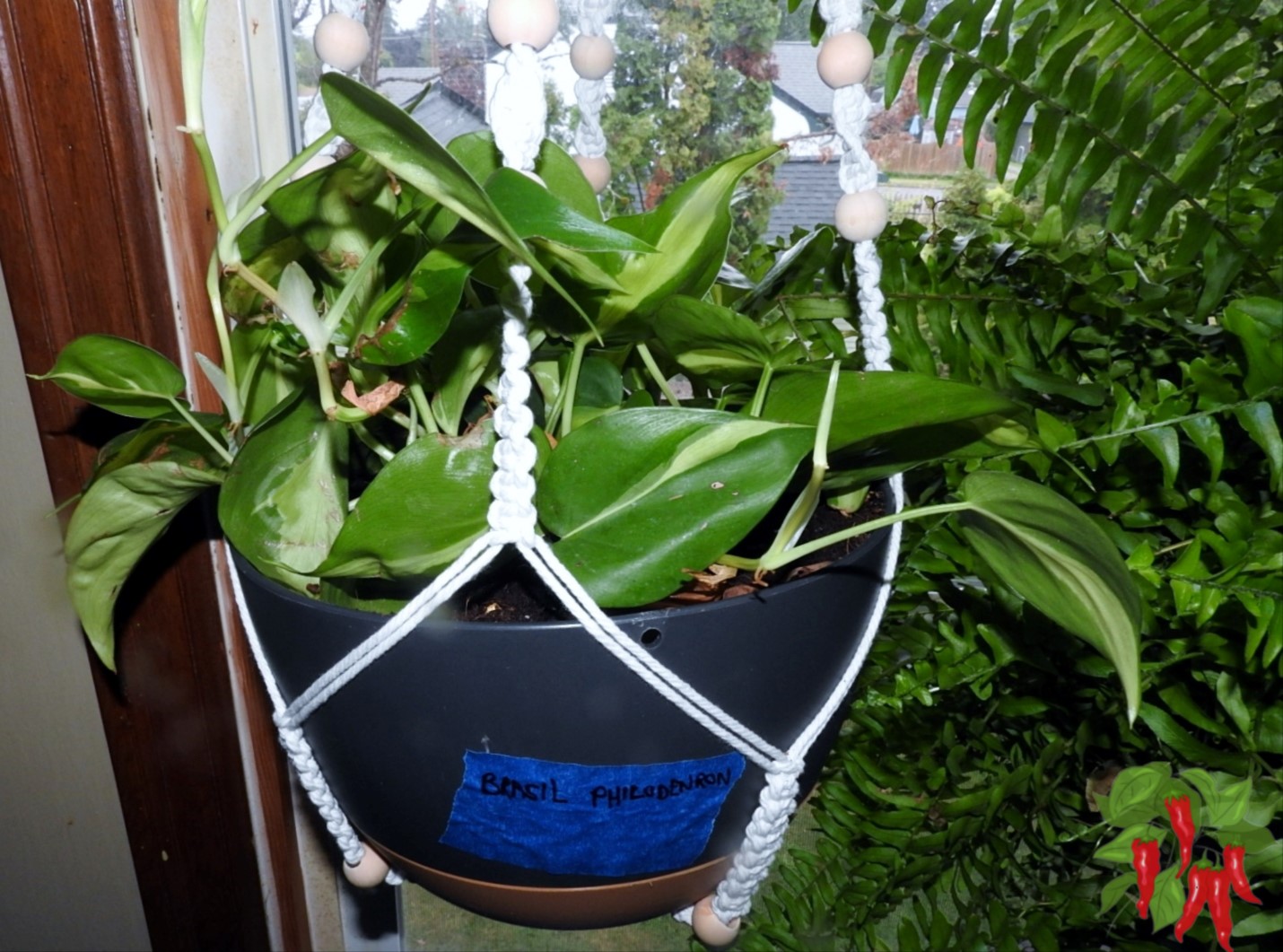 Indoor Plant Care Tips: Ultimate Guide to Thriving Houseplants