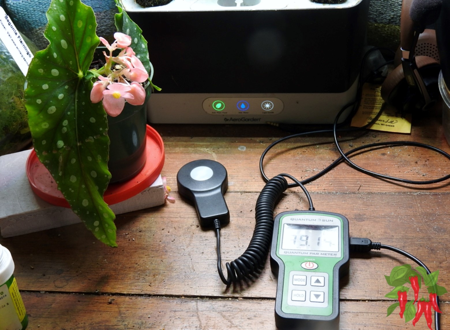 How to Measure Light Levels for Indoor Plants
