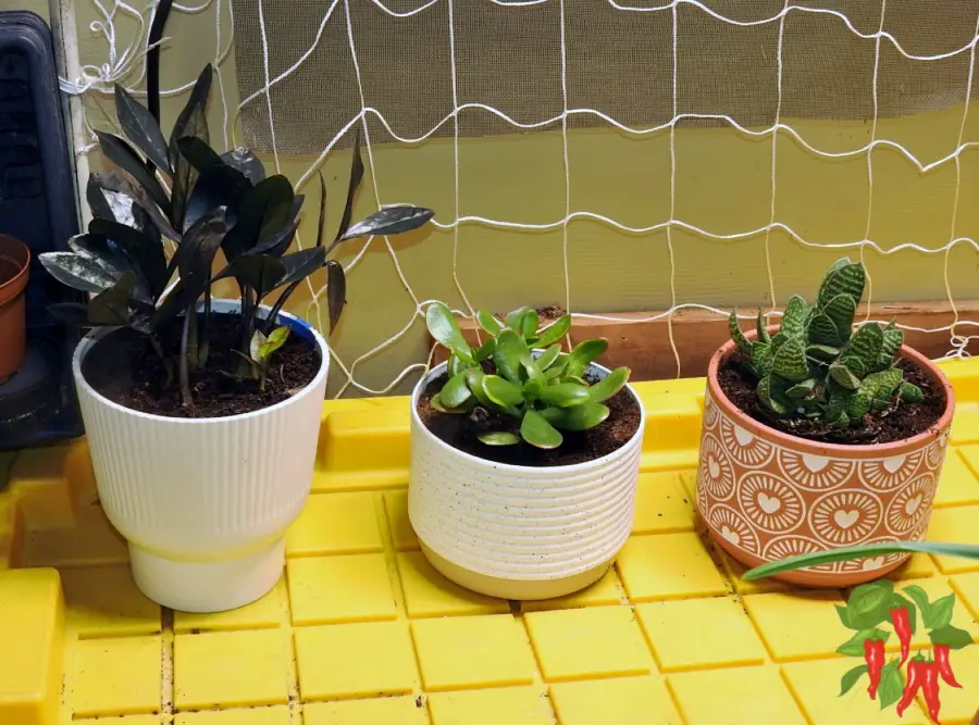 Planters for Small Spaces