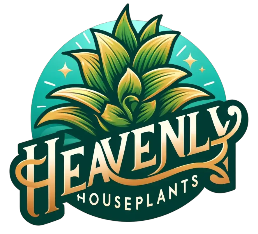 Shop Heavenly Houseplants